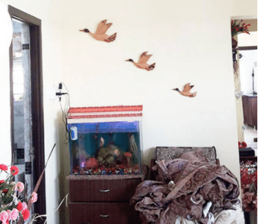 Sunshine Contractor - Painting works in Chennai. House Repair and Renovation, Tiles and Bathroom Works.