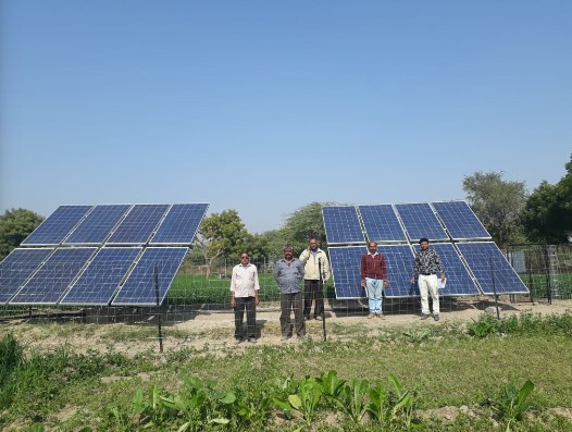 Novus Green Energy Systems Ltd