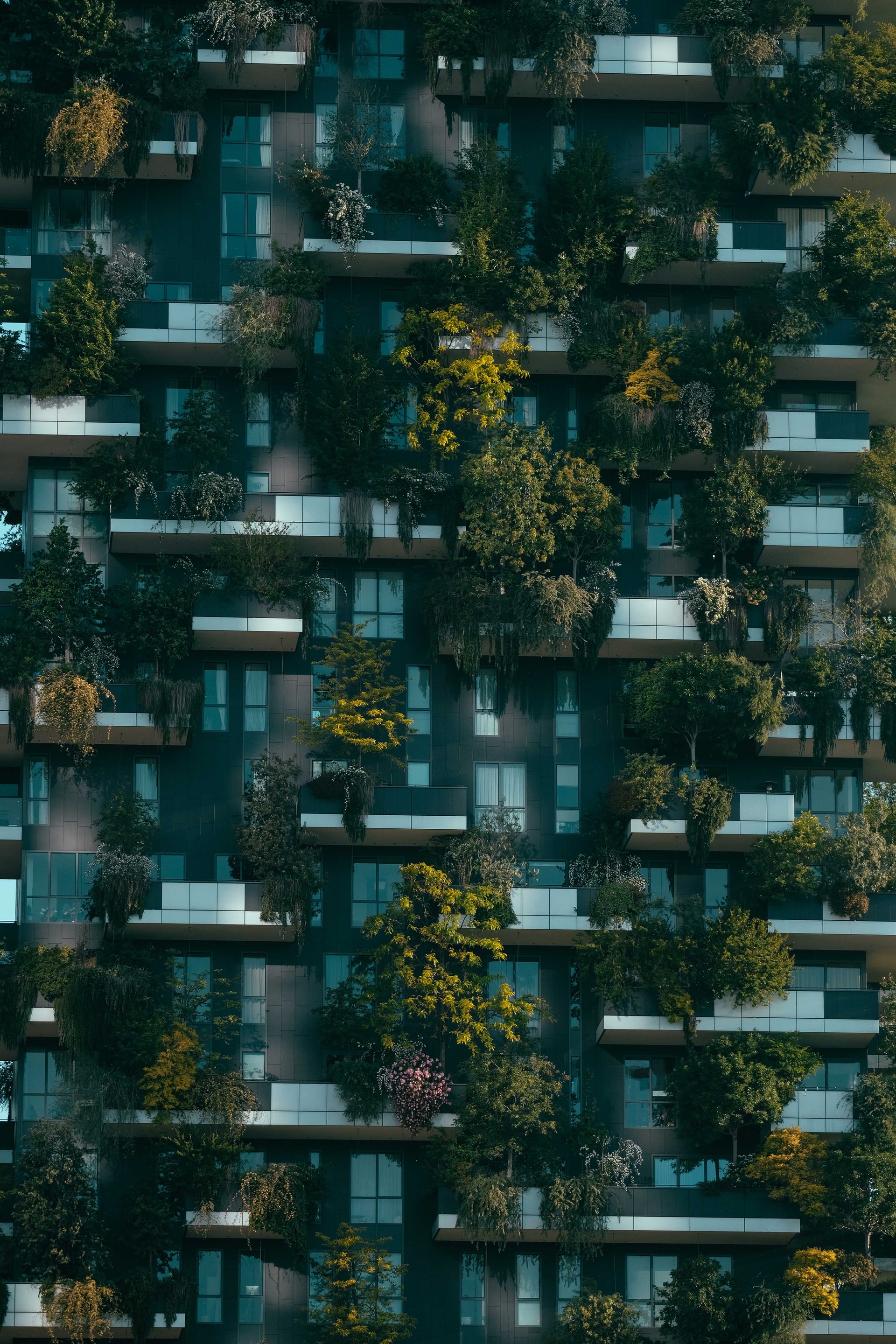 6 Ways Green Architecture Helps the Environment