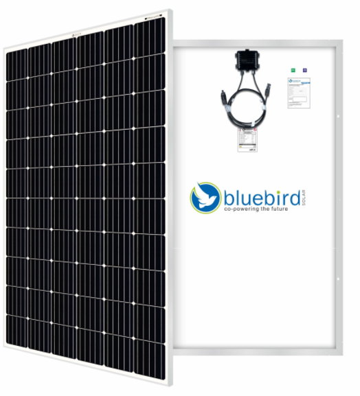 Bluebird Solar