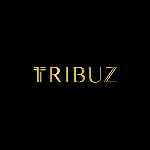 Tribuz | Interior Designers In Delhi