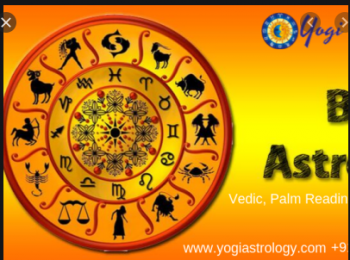 Astrologer YOGI
