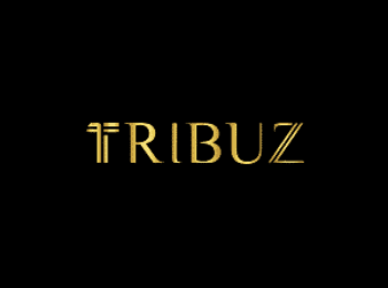 Tribuz | Interior Designers In Delhi
